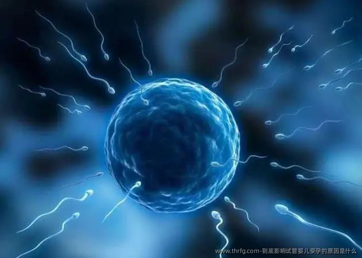 到底影响试管婴儿受孕的原因是什么