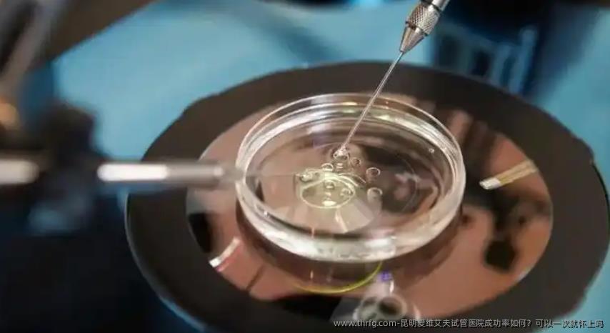 昆明爱维艾夫试管医院成功率如何?可以一次就怀上吗