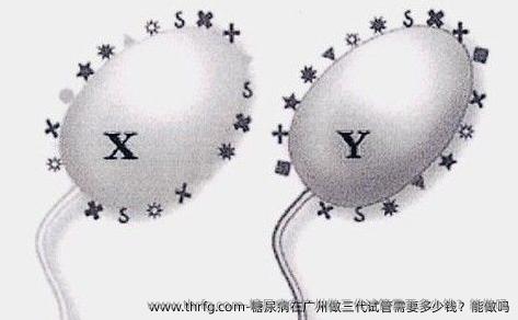 糖尿病在广州做三代试管需要多少钱？能做吗