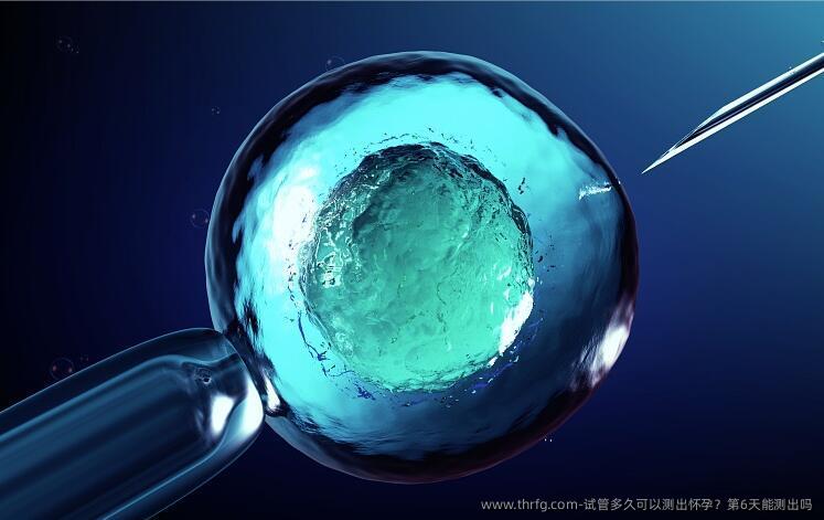 试管多久可以测出怀孕？第6天能测出吗