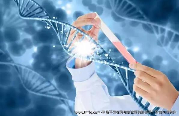 单角子宫在惠州做试管有影响吗？有成功案例吗