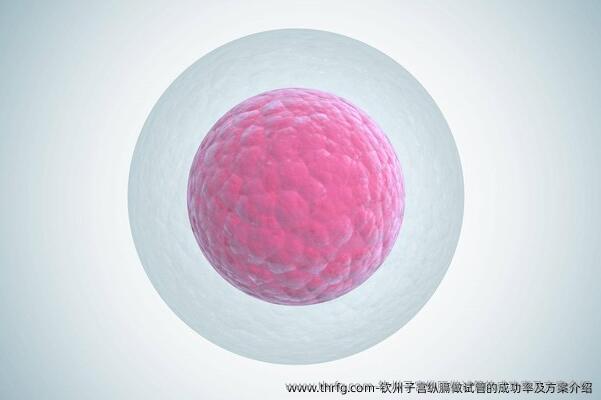 钦州子宫纵膈做试管的成功率及方案介绍