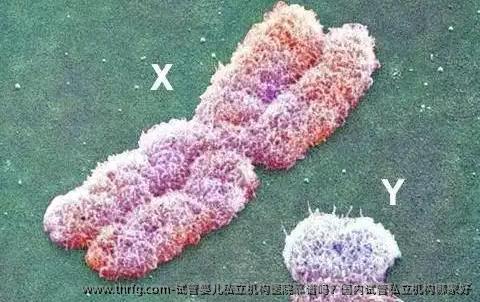 试管婴儿私立机构医院靠谱吗？国内试管私立机构哪家好
