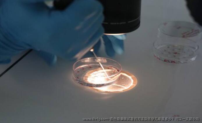 百色隐睾做试管的方法及怀孕几率是多少？可以一次就中吗