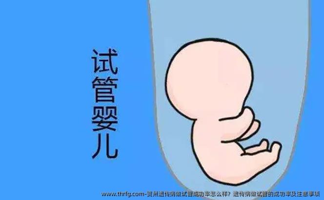 贺州遗传病做试管成功率怎么样？遗传病做试管的成功率及注意事项