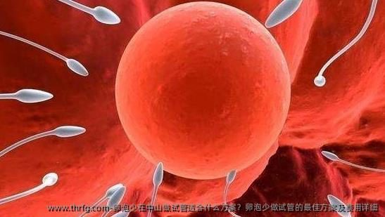 卵泡少在中山做试管适合什么方案？卵泡少做试管的较好方案及费用详细