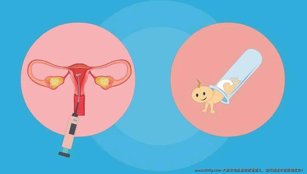 大龄女性赴泰做试管婴儿，如何调理才能获得成功？