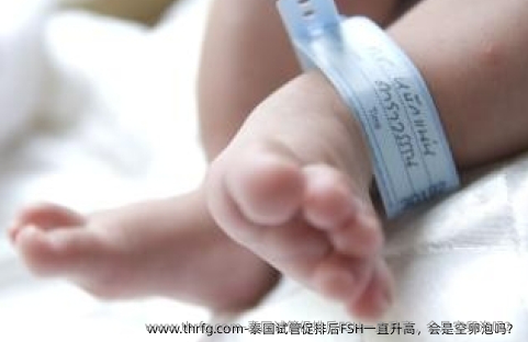 泰国试管促排后FSH一直升高，会是空卵泡吗？