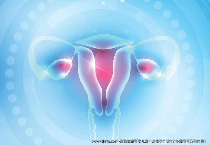 赴泰做试管婴儿想初次成功？这4个小细节千万别大意！