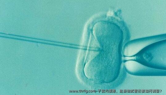 子宫内膜薄，赴泰做试管前要如何调整？
