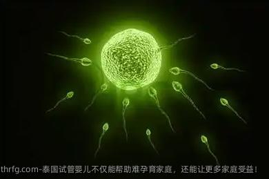 泰国试管婴儿不仅能帮助难孕育家庭，还能让更多家庭受益！