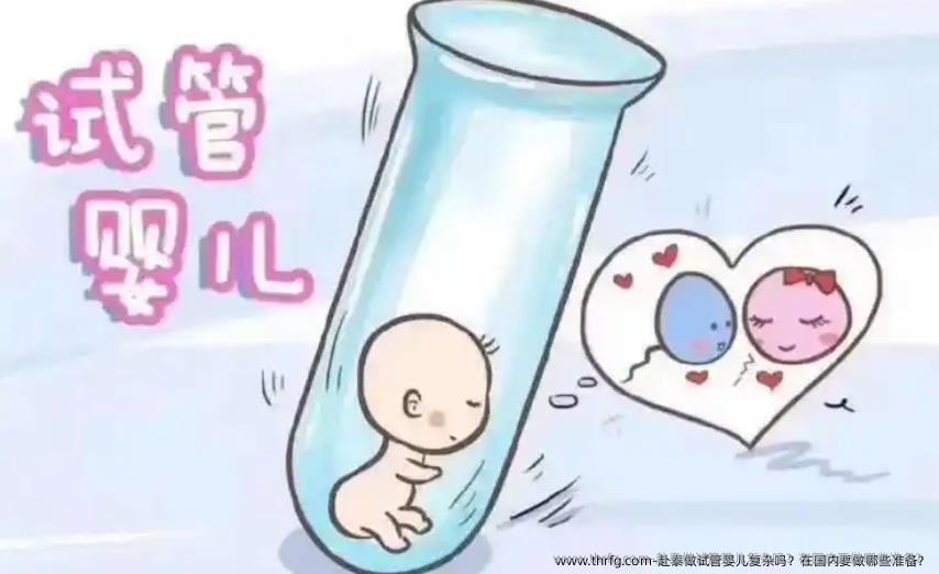赴泰做试管婴儿复杂吗？在国内要做哪些准备？