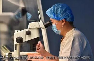 新冠后月经不规律，试管婴儿周期是否会影响促排卵泡取出？