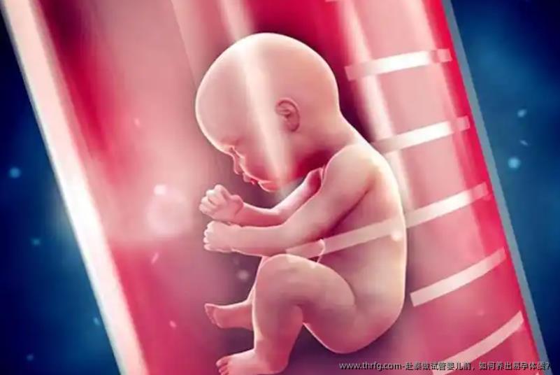 赴泰做试管婴儿前，如何养出易孕体质？