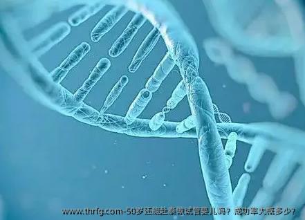50岁还能赴泰做试管婴儿吗？成功率大概多少？