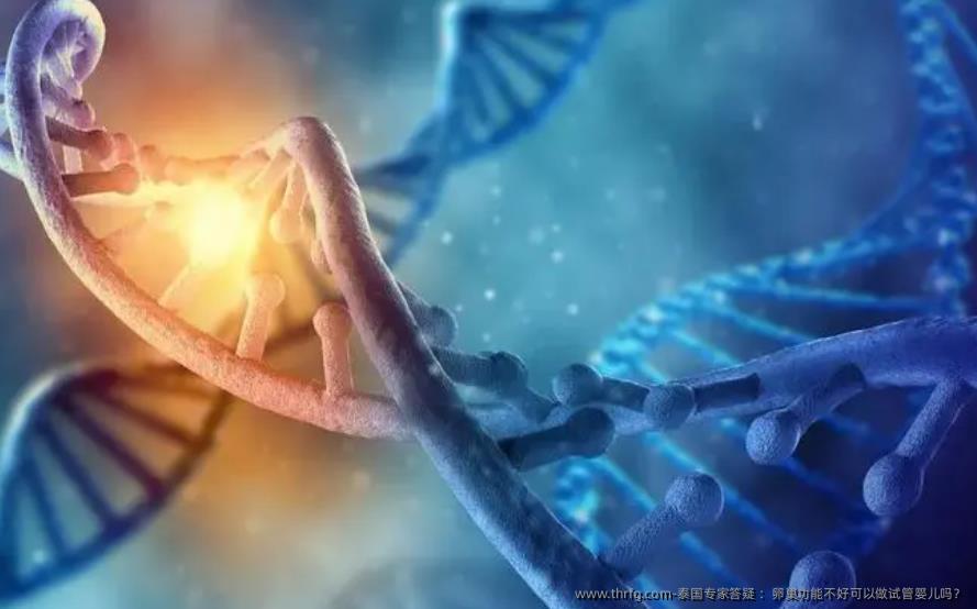 泰国专家答疑 ：卵巢功能不好可以做试管婴儿吗？