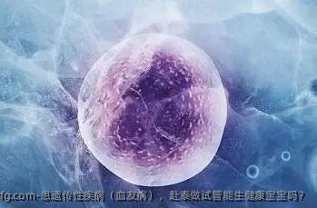 患遗传性疾病（血友病），赴泰做试管能生健康宝宝吗？