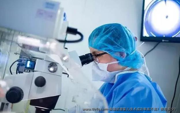 泰国试管婴儿技术成功率高不高?费用多少?