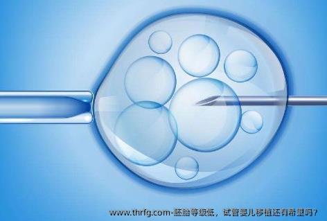 胚胎等级低，试管婴儿移植还有希望吗？