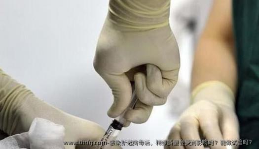 感染新冠病毒后，精卵质量会受到影响吗？能做试管吗？
