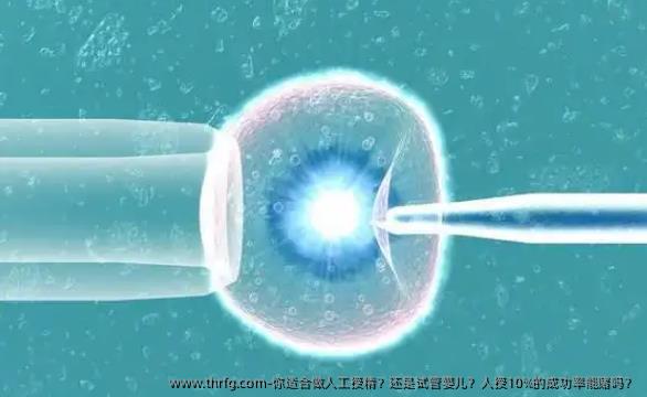 你适合做人工授精？还是试管婴儿？人授10%的成功率能赌吗？