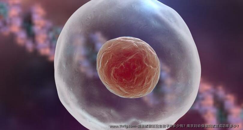 南京试管医院生孩子要多少钱？南京妇幼保健院试管成功率多少？