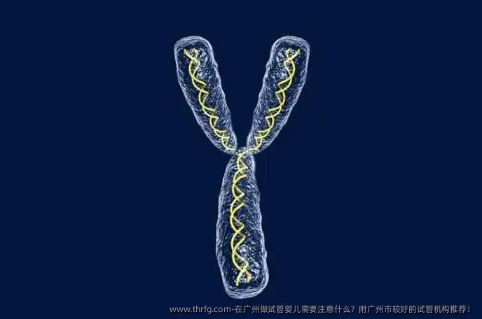 在广州做试管婴儿需要注意什么？附广州市较好的试管机构推荐！