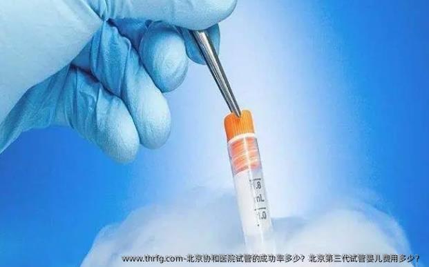 北京协和医院试管的成功率多少？北京第三代试管婴儿费用多少？