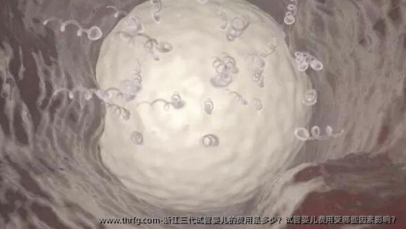 浙江三代试管婴儿的费用是多少？试管婴儿费用受哪些因素影响？