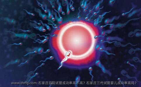 石家庄四院试管成功率高不高？石家庄三代试管婴儿成功率高吗？