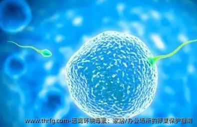 远离环境毒素：家居/办公场所的卵巢保护指南‌