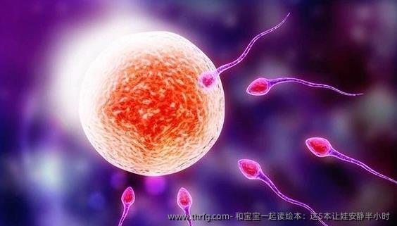 和宝宝一起读绘本：这5本让娃安静半小时‌