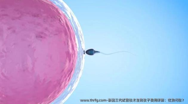 泰国三代试管技术生育孩子费用详解：优势何在？