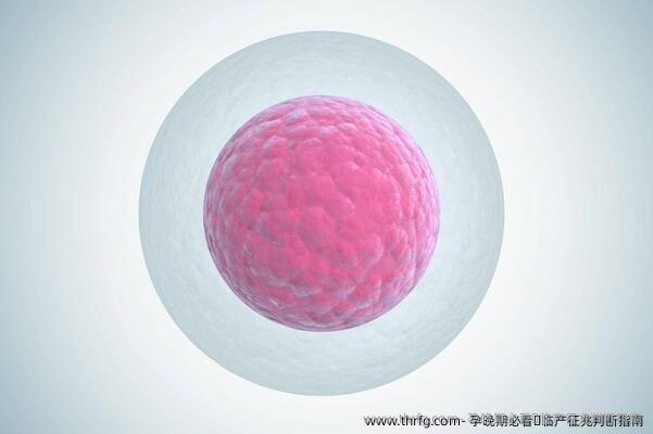 孕晚期必看！临产征兆判断指南‌