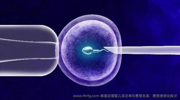 泰国试管婴儿成功率与费用关系：费用透明化探讨