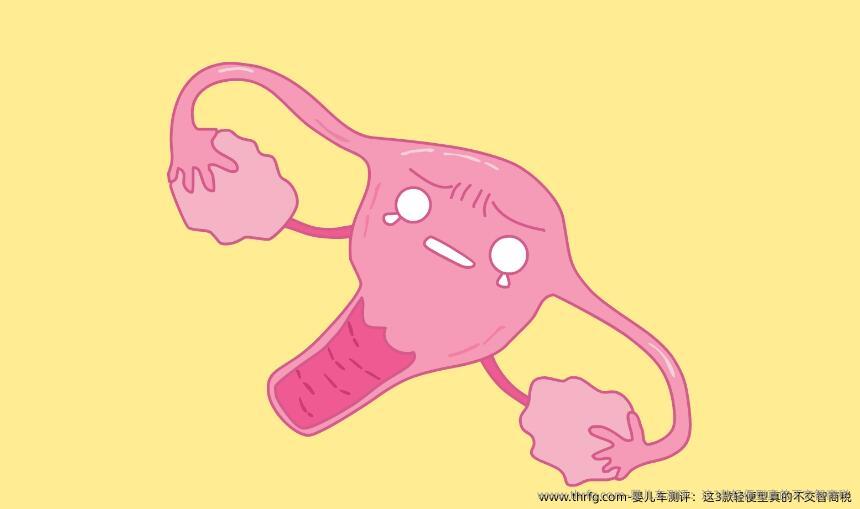 婴儿车测评：这3款轻便型真的不交智商税‌
