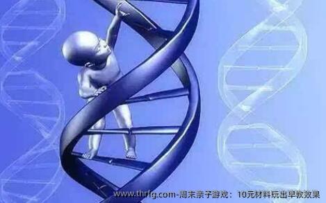 周末亲子游戏：10元材料玩出早教效果‌