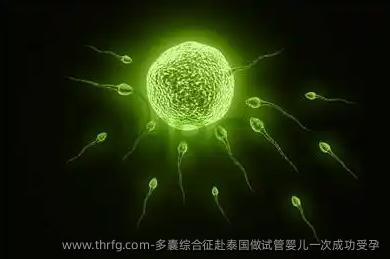 多囊综合征赴泰国做试管婴儿初次成功受孕