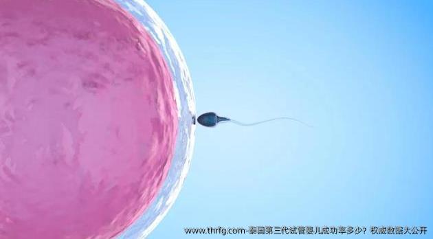 泰国第三代试管婴儿成功率多少？优秀数据大公开
