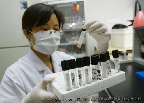 这两个因素是影响泰国试管婴儿成功率关键