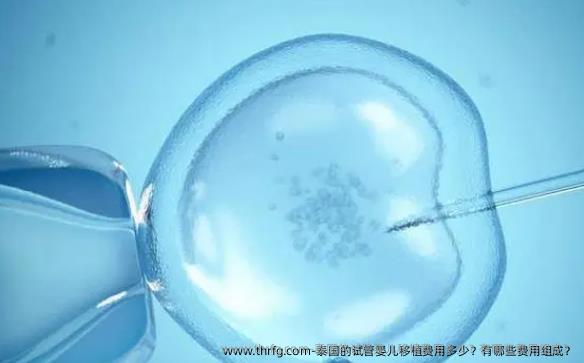 泰国的试管婴儿移植费用多少？有哪些费用组成？