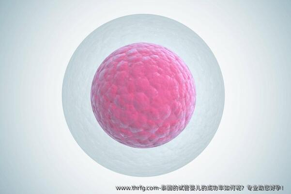 泰国的试管婴儿的成功率如何呢？专业助您好孕！