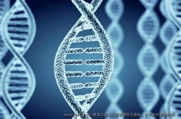 黑龙江第三代试管费用大揭秘，助你轻松掌握预算！