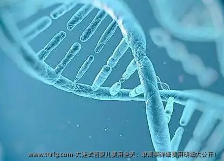 大连试管婴儿费用全览：单周期详细费用明细大公开！
