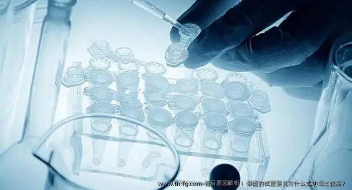 背后原因解析！泰国的试管婴儿为什么成功率比较高？