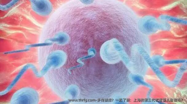 一起了解：上海的第三代试管婴儿靠谱吗？