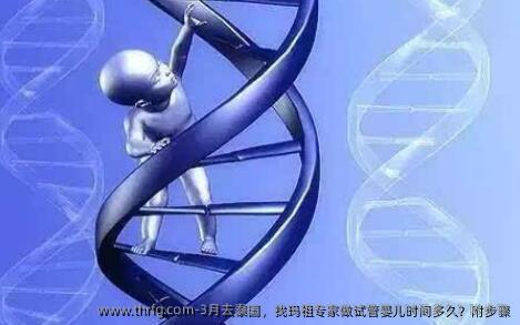 3月去泰国，找玛祖专家做试管婴儿时间多久？附步骤