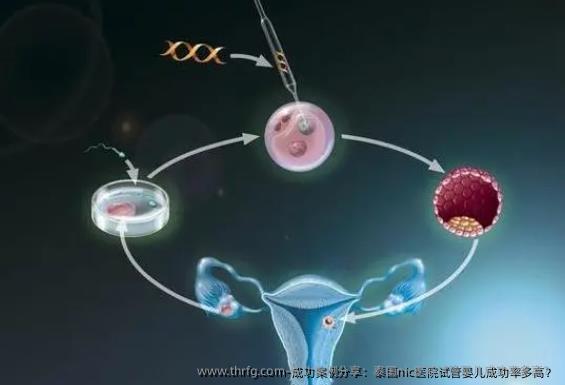 成功案例分享：泰国nic医院试管婴儿成功率多高？