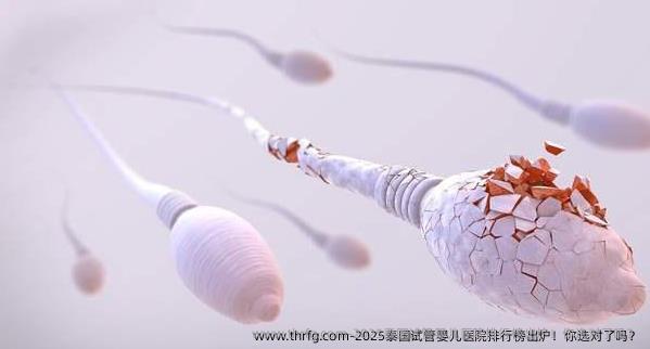 2025泰国试管婴儿医院排行榜出炉！你选对了吗？