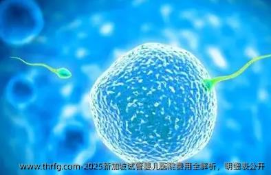 2025新加坡试管婴儿医院费用全解析，明细表公开